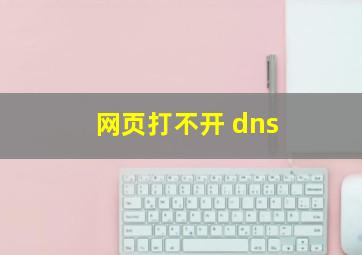 网页打不开 dns